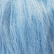 Baby Blue Fur
