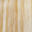 Cream Fur