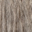 Grey Fur