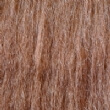 Brown Fur