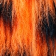 Black & Orange 