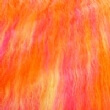 OranPinkYell 