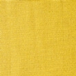 Buttercup Yell Lycra