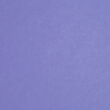 Lilac Lycra
