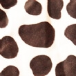 Dalmatian