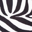Zebra Print