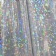 Silver Holo