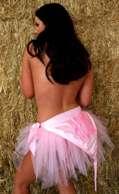 Fairies Bib Tutu BPink