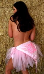 Fairies Bib Tutu BPink
