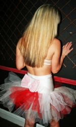 Print Tink Santa tutu WR