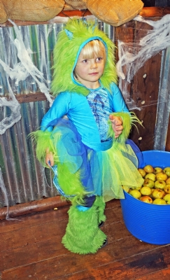Mini Monster 