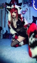 Patch cat BRW