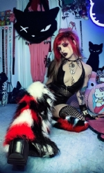 Cat Patch 2pc BRW